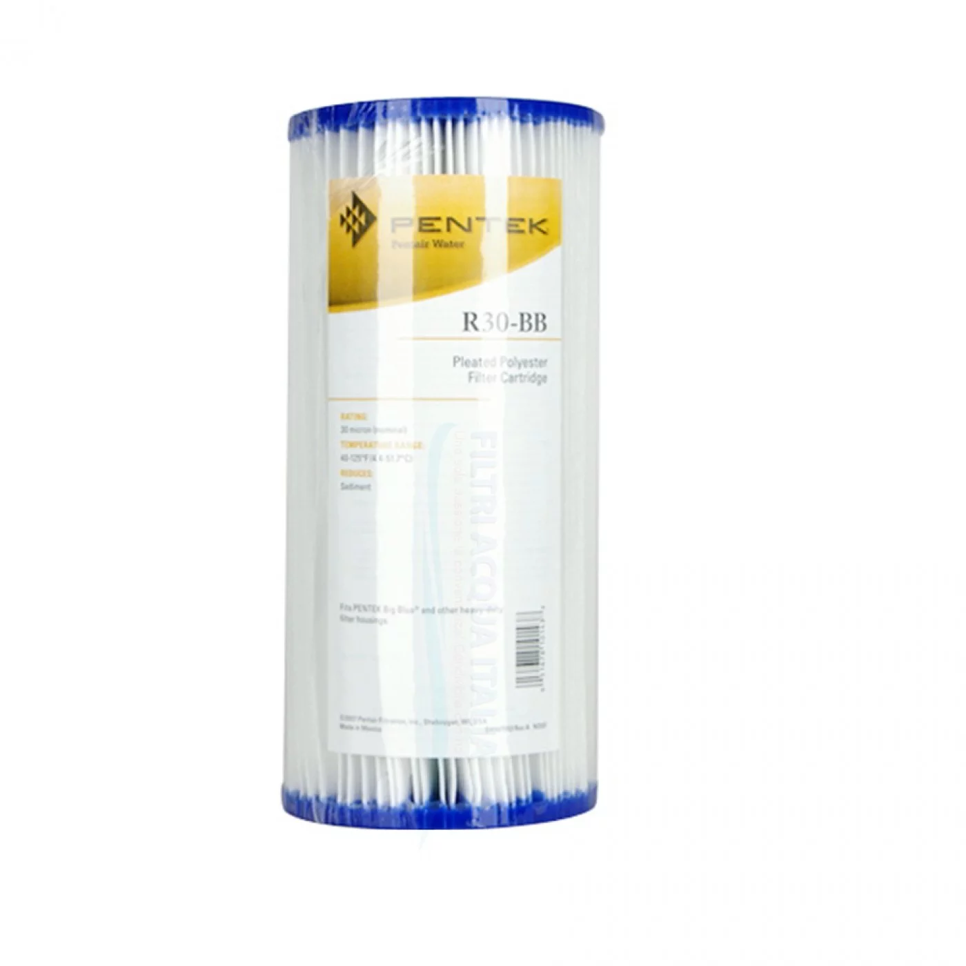 CARTUCCIA LAVABILE PENTEK R30 BB 10 Pollici Micron 30