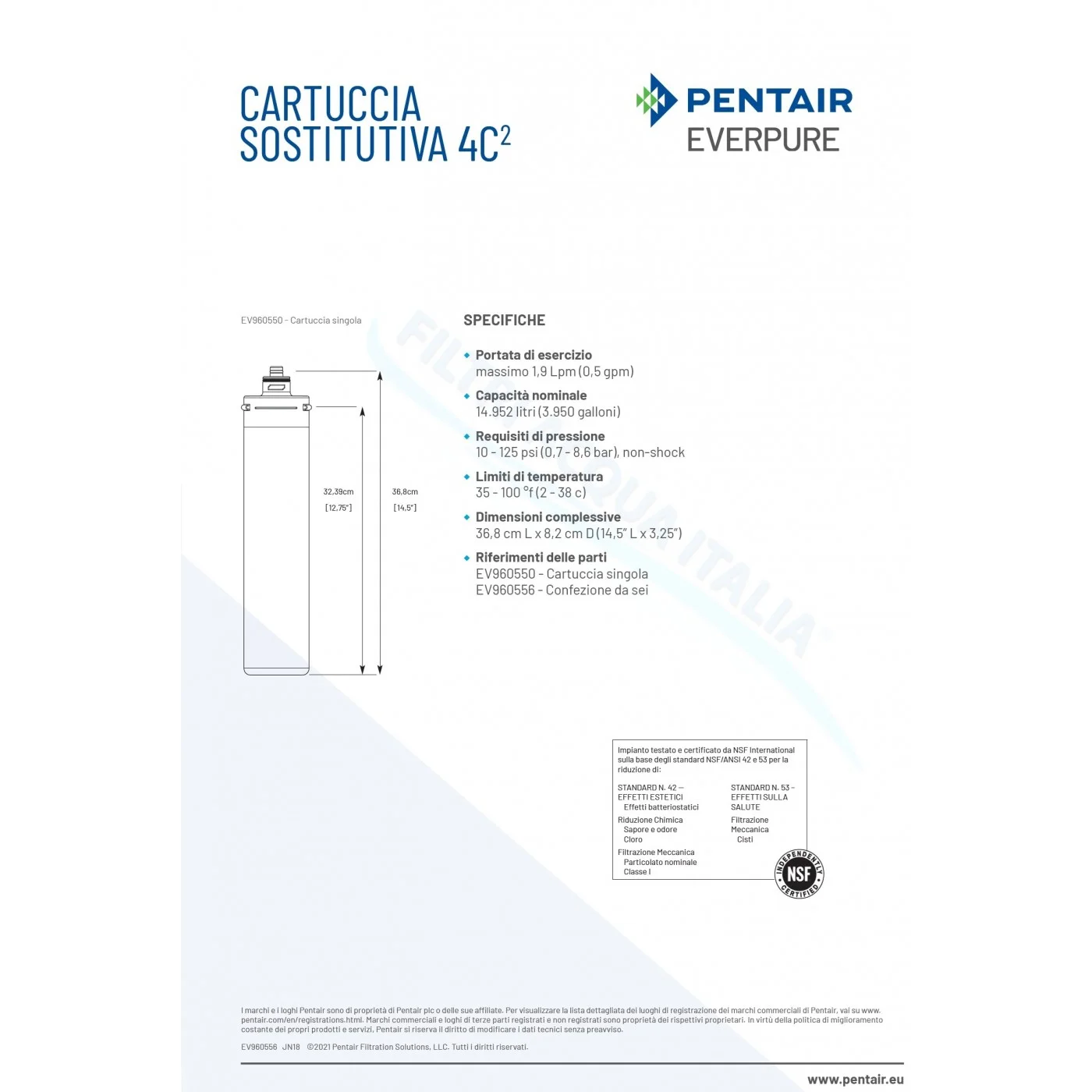 Everpure 4C2 EV9605-50: Protezione Antibatterica con Sali d'Argento Set 6 Pz  