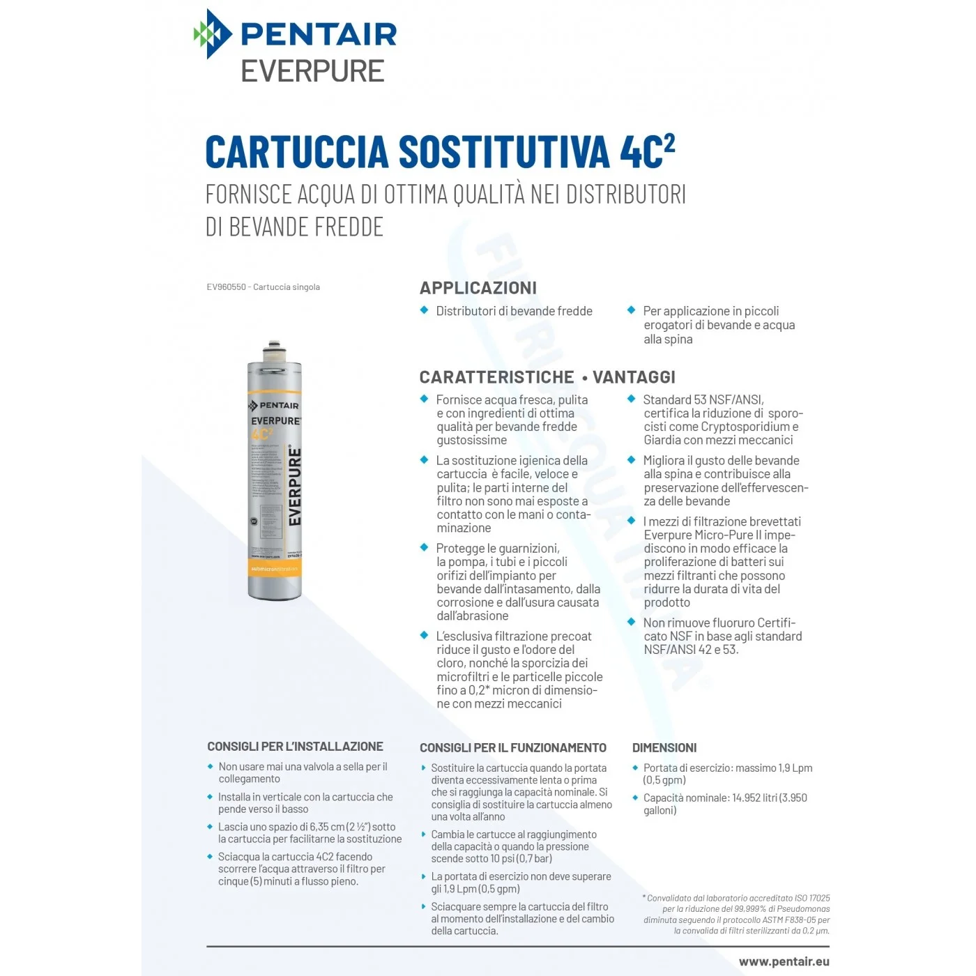 Everpure 4C2 EV9605-50: Protezione Antibatterica con Sali d'Argento Set 6 Pz  