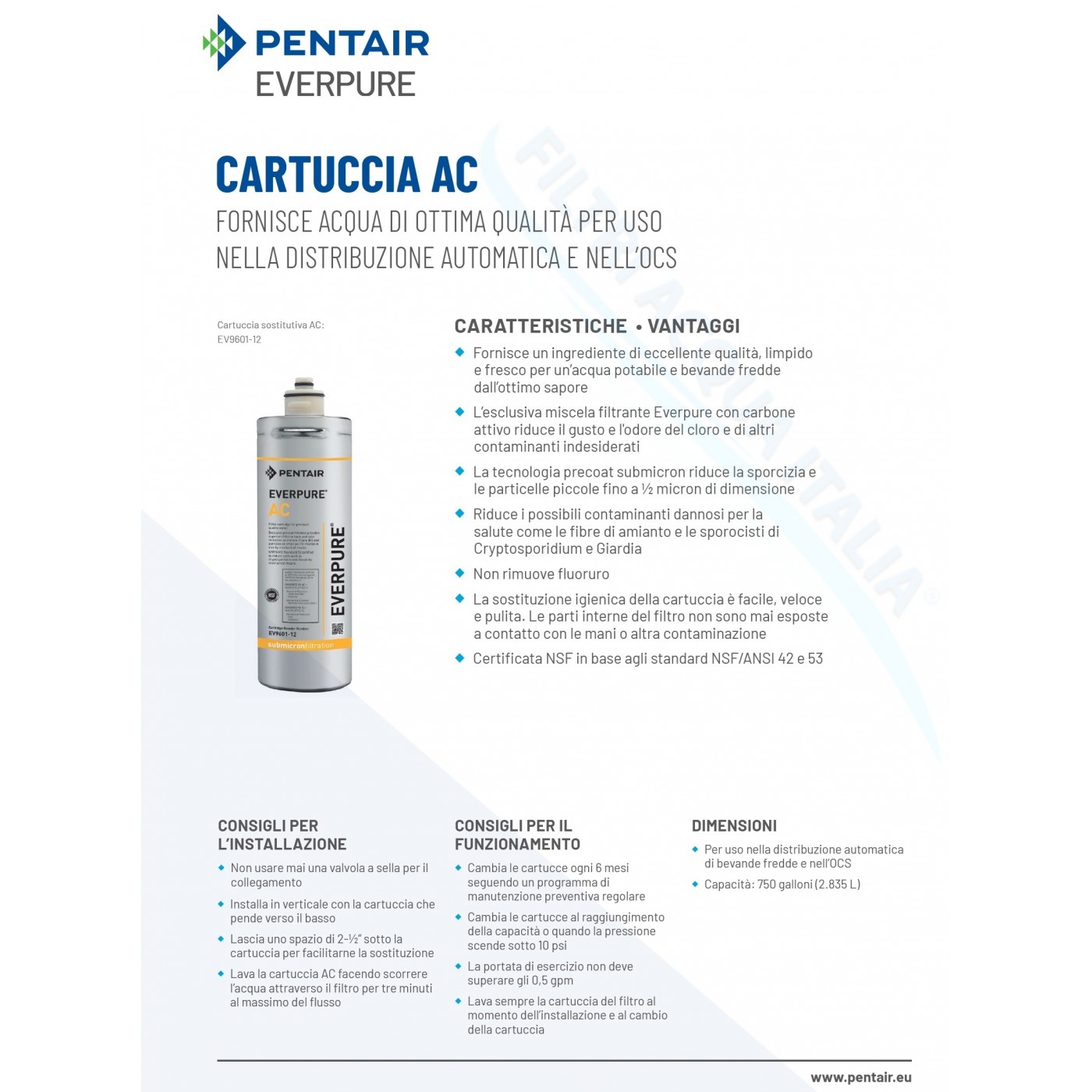 FILTRO ACQUA EVERPURE AC EV960112 