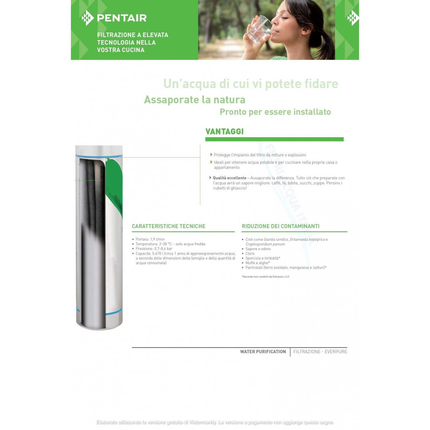 EVERPURE S100 EV9601-04