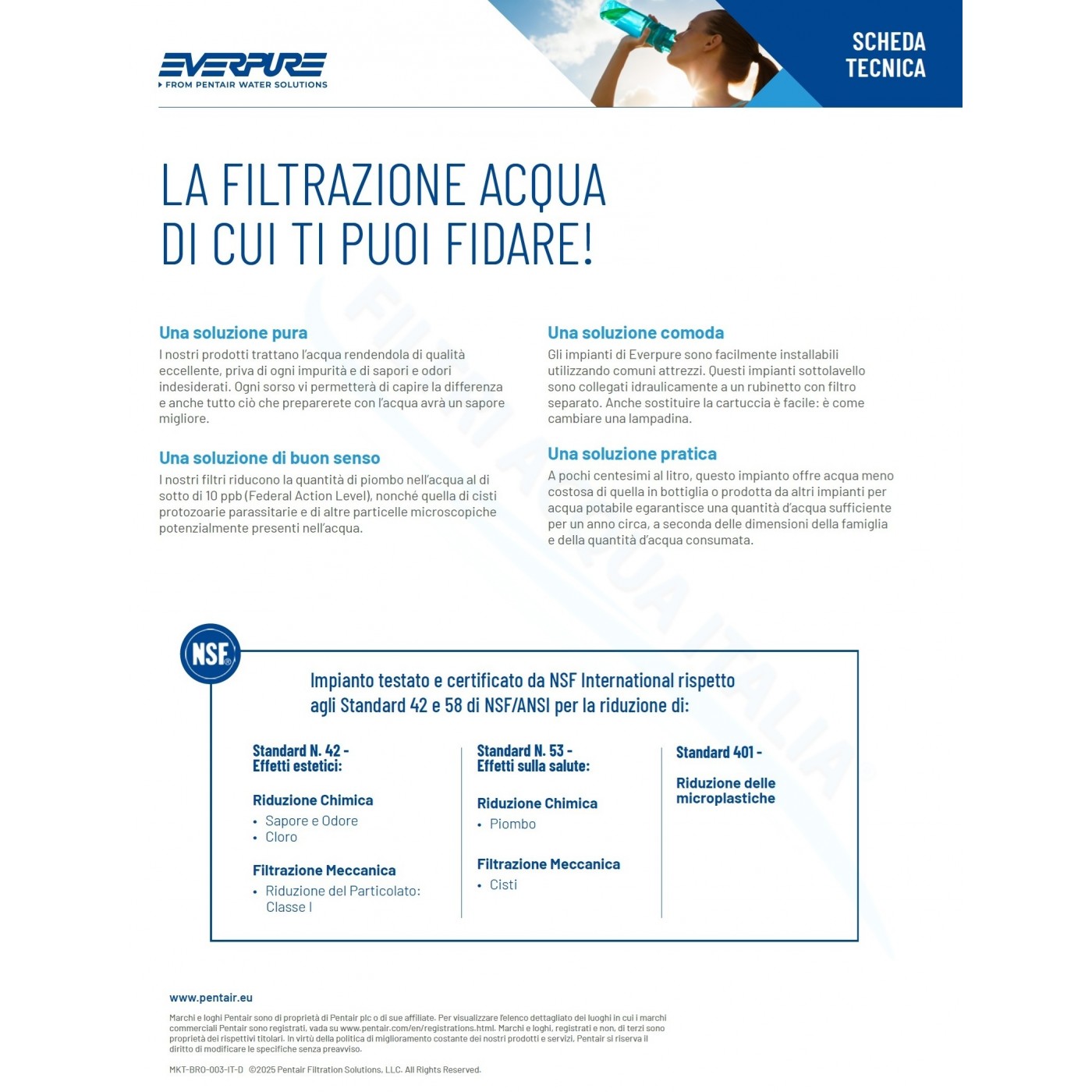EVERPURE PBS 400 EV927086 | Filtri Acqua Italia®