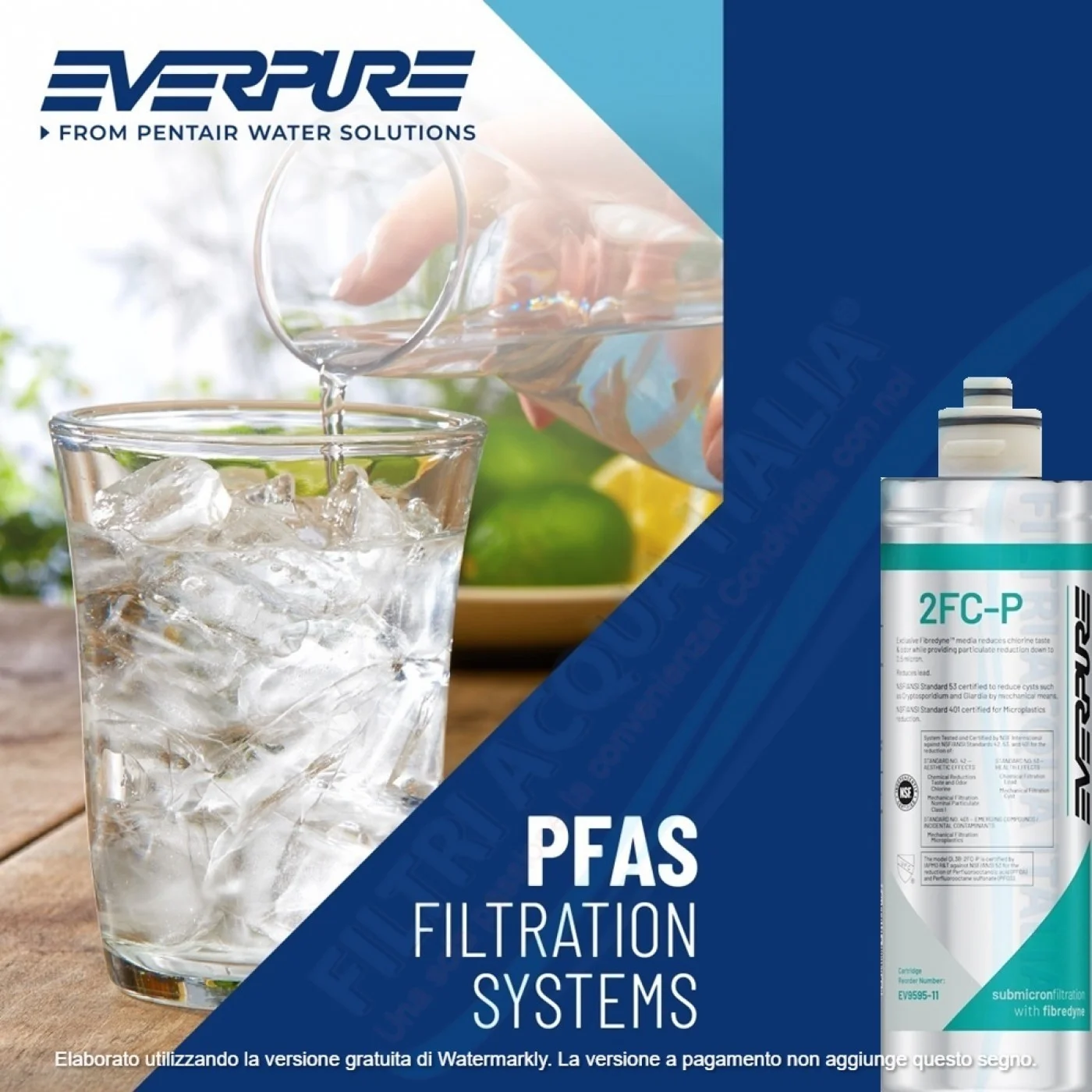 Everpure 2FC-P EV9595-11 Rimuove PFAS, Cloro e Microplastiche Set 2 Pezzi Everpure 2FC-P EV9595-11 Rimuove PFAS, Cloro e Microplastiche Set 2 Pezzi
