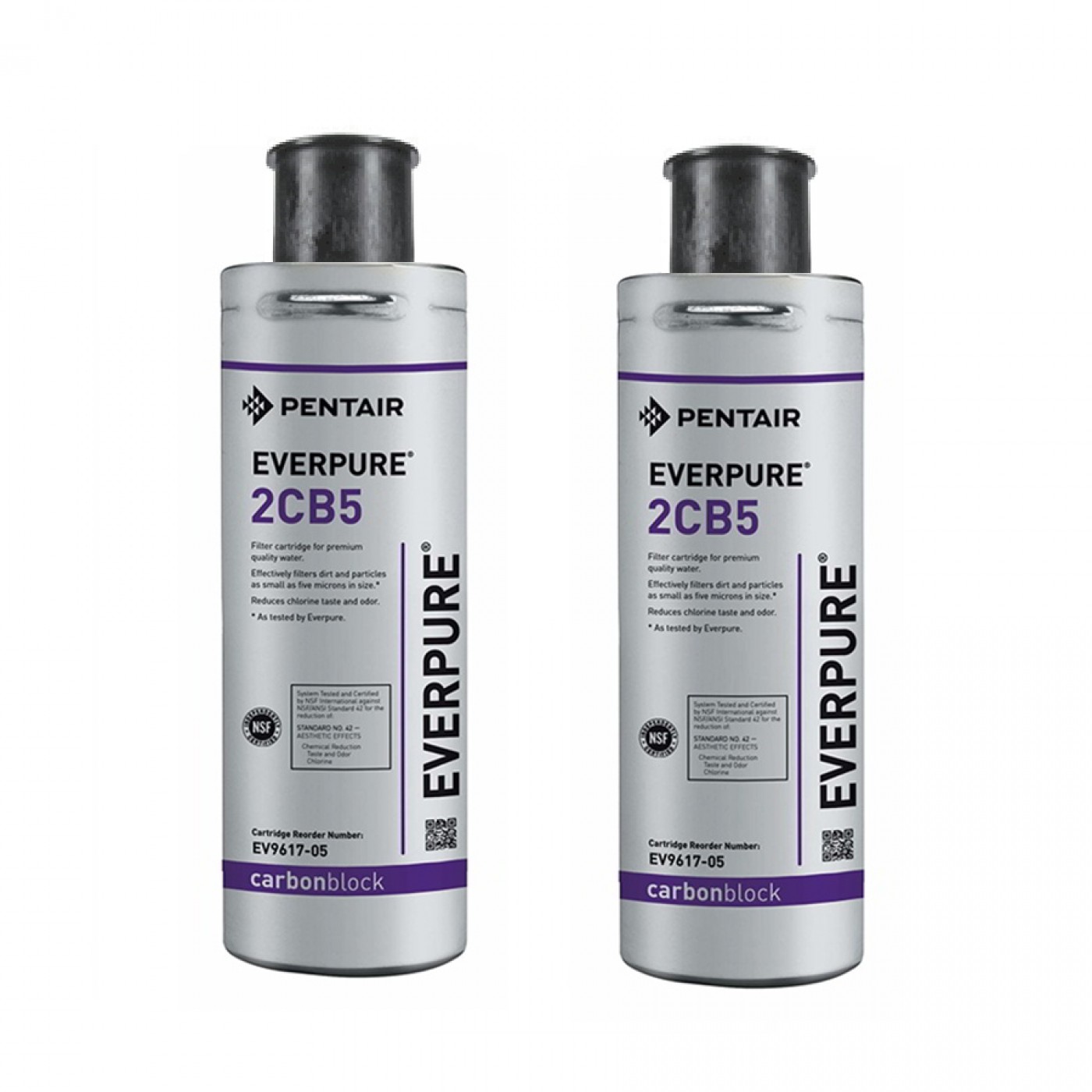 FILTRO EVERPURE 2CB5 EV9617-05 SET 2 PEZZI 