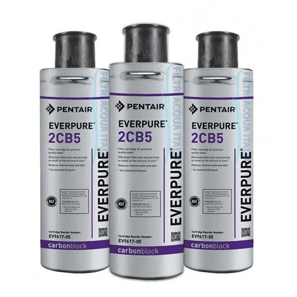 EVERPURE 2CB5 EV9617-05 SET 3 PEZZI EVERPURE 2CB5 EV9617-05 SET 3 PEZZI