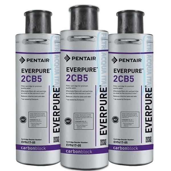 EVERPURE 2CB5 EV9617-05 SET 3 PEZZI