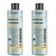 EVERPURE 2DC SET 2 PEZZI EV959106 EVERPURE 2DC SET 2 PEZZI EV959106