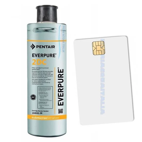 EVERPURE 2DC + Scheda Sblocco Gasatore EVERPURE 2DC + Scheda Sblocco Gasatore