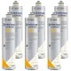Everpure 4C2 EV9605-50: Protezione Antibatterica con Sali d'Argento Set 6 Pz  