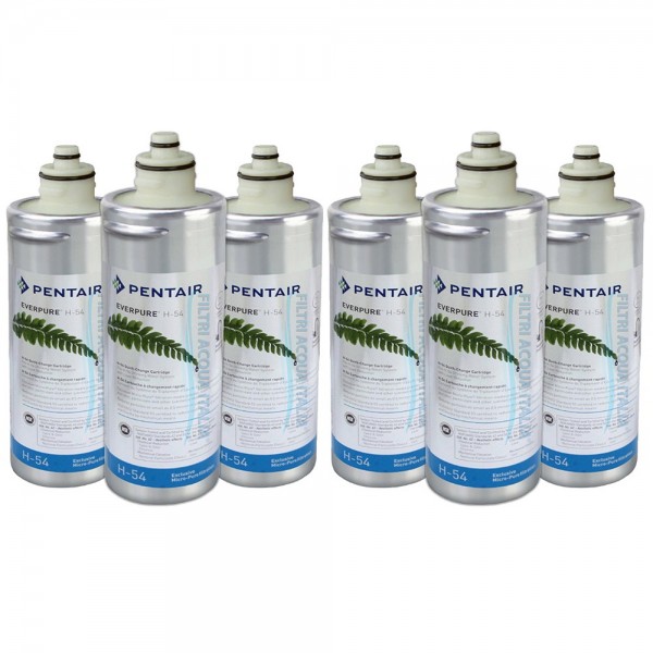 EVERPURE H54 EV9730-06 Set 6 Pz.