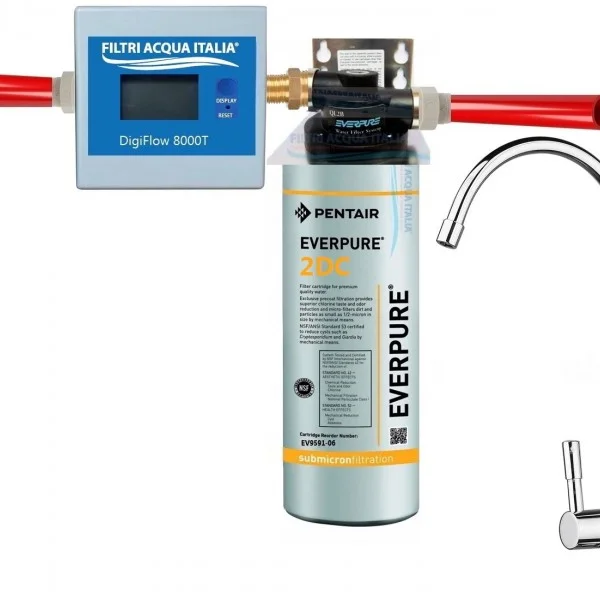 DEPURATORE ACQUA EVERPURE 2DC CON TESTA QL2B CONTALITRI e RUBINETTO