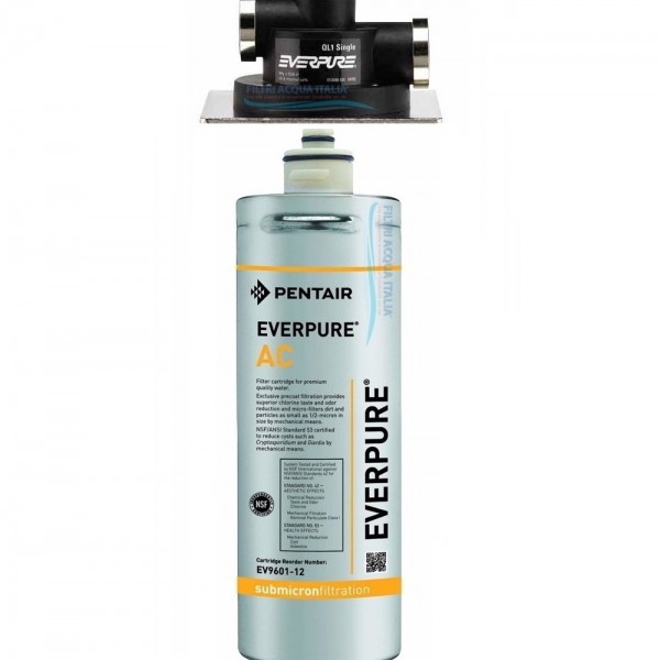 EVERPURE AC KIT CON FILTRO EVERPURE E TESTA QL1