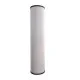 Cartuccia Pentek BBF1-20MB Deionizzatrice Letto Misto Cartuccia Pentek BBF1-20MB Deionizzatrice Letto Misto