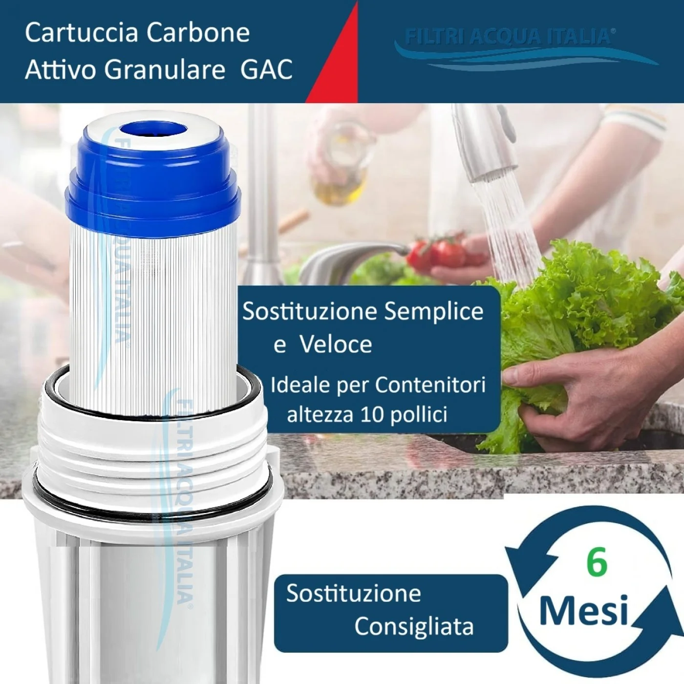CARTUCCIA A CARBONE ATTIVO GRANULARE 10 Pollici