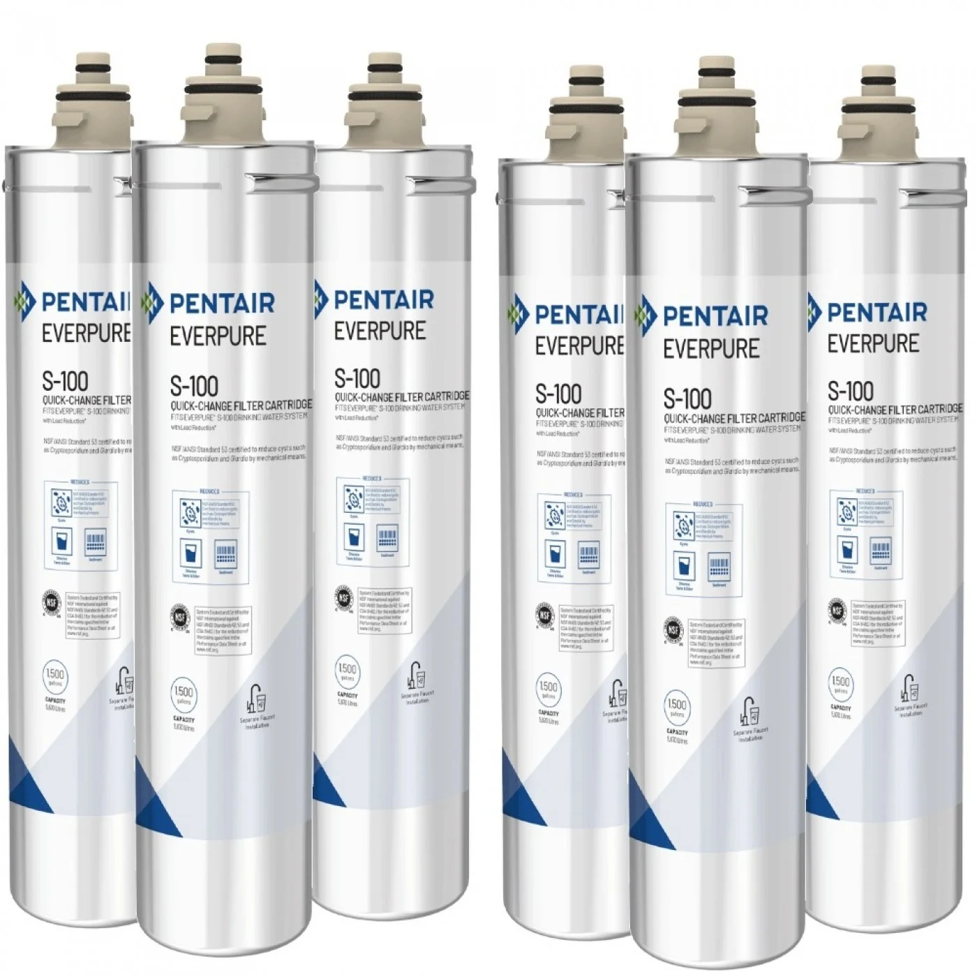 Everpure S100 EV9601-04 Set 6 Pz.
