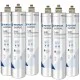Everpure S100 EV9601-04 Set 6 Pz.