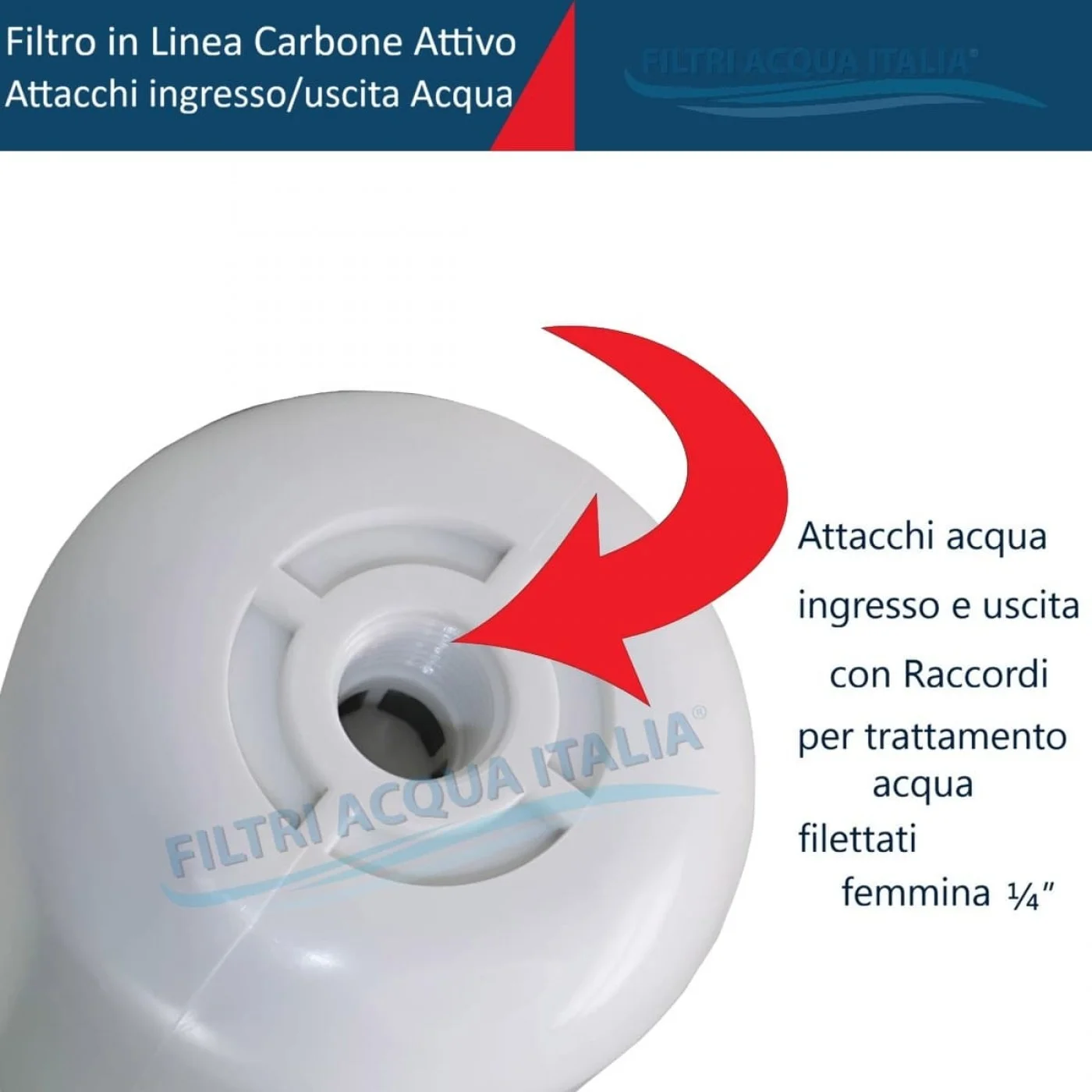 FILTRO IN LINE CAR3026 CARBONE 12 Pollici Attacco 1/4 FPT