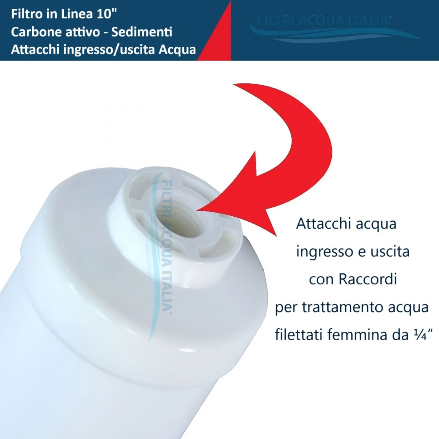 FILTRO IN LINEA CARBONE ATTIVO 2 X 10" T33 e Sedimenti 2 X 10"